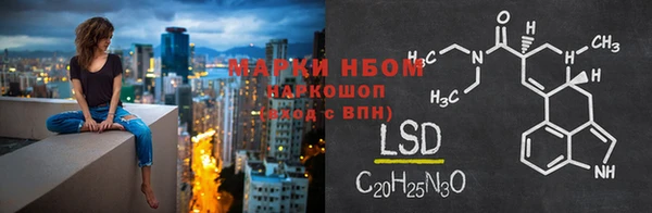 дмт Аркадак