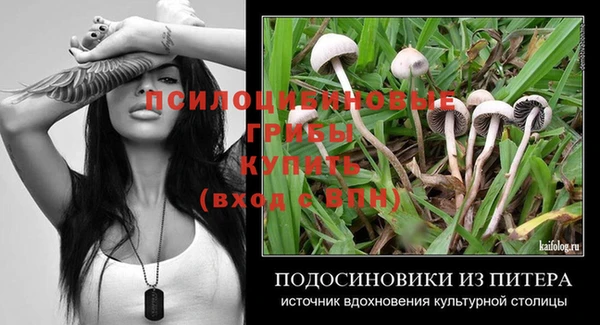 стафф Армянск