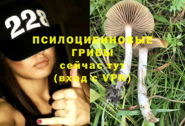 дмт Аркадак