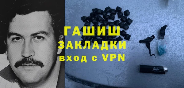 индика Бикин