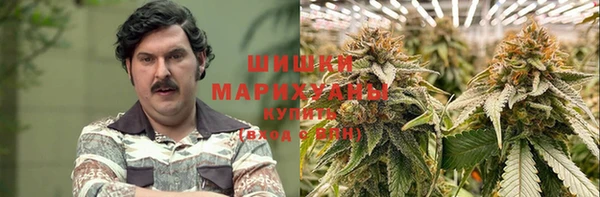 дмт Аркадак