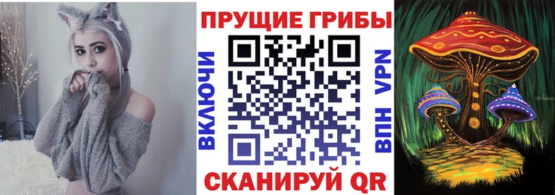 Галлюциногенные грибы Magic Shrooms  ссылка на мегу tor  Бирюч 